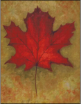 (image for) Maple Leaf